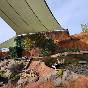 Mississippi Aquarium - Otter enclosure