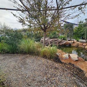 Mississippi Aquarium - Inside the aviary