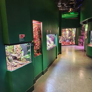 Mississippi Aquarium - Rainforest area