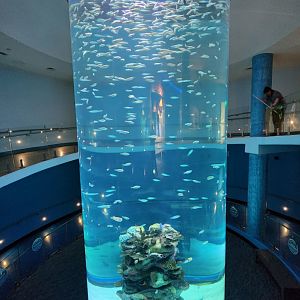 Mississippi Aquarium - A nice looking exhibit