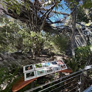 Australian Aviary #1 - Australian Outback