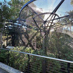 Australian Aviary #2 - Australian Outback