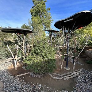 Koala & Parma Wallaby Exhibit - Australian Outback