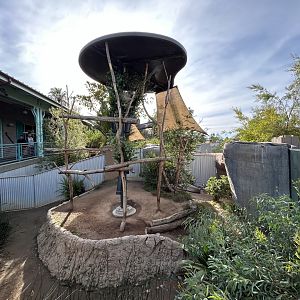 Koala & Brush-tailed Bettong Exhibit - Australian Outback