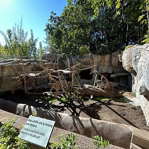 Sloth Bear Exhibit #1 - Bear Canyon