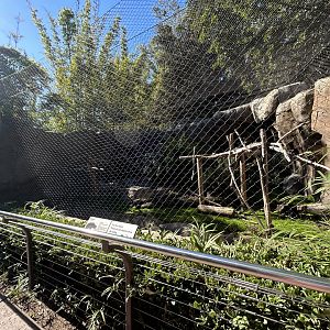 Sloth Bear Exhibit #2 - Bear Canyon