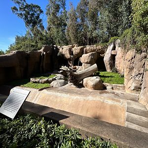 Grizzly Bear Exhibit #1 - Bear Canyon