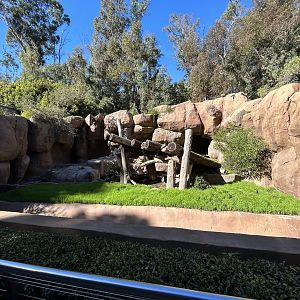 Grizzly Bear Exhibit #2 - Bear Canyon