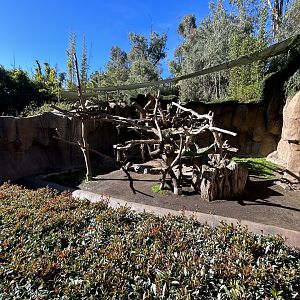 Andean Bear Exhibit #1 - Bear Canyon