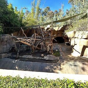 Andean Bear Exhibit #2 - Bear Canyon