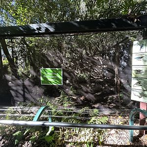 Aviary (temp. off exhibit) - Sun Bear Forest
