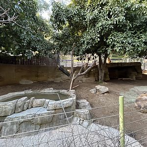 Golden Takin Exhibit - Asian Passage