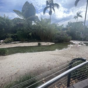 Flamingo Lagoon