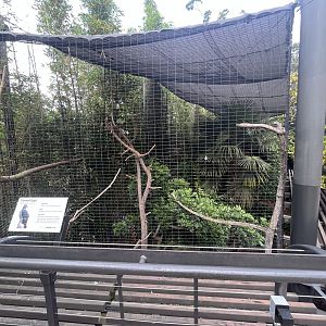 Crowned Eagle Exhibit