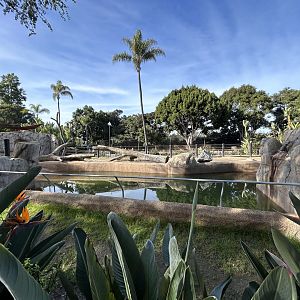 Temporary Hippo Exhibit - Urban Jungle