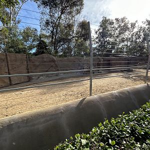 Grant’s Zebra & Domestic Donkey Exhibit - Urban Jungle