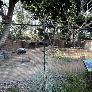 Cape Porcupine Exhibit - Urban Jungle