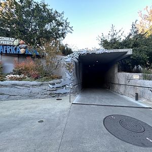 Africa Rocks Entrance