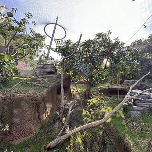 Lemur Exhibit #1 - Africa Rocks