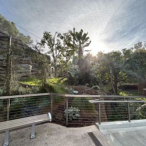 Lemur Exhibit #1 - Africa Rocks