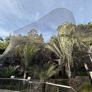 Fossa Exhibit #1 - Africa Rocks