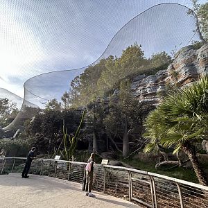 Fossa Exhibit #2 - Africa Rocks