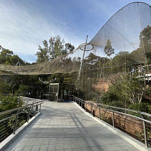 Acacia Woodlands Aviary - Africa Rocks