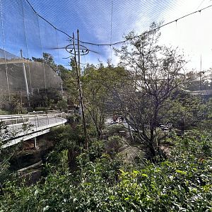 Acacia Woodlands Aviary - Africa Rocks