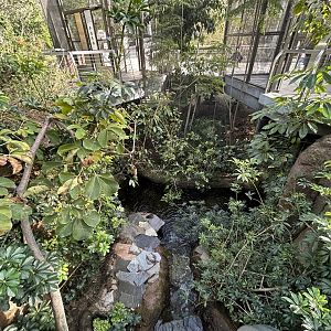 Acacia Woodlands Aviary - Africa Rocks