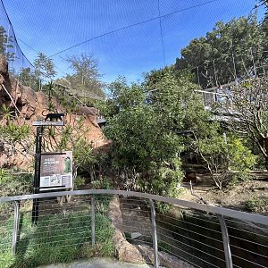 Acacia Woodlands Aviary - Africa Rocks