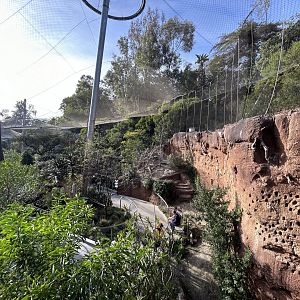 Acacia Woodlands Aviary - Africa Rocks