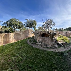 Hamadryads Baboon Exhibit #1 - Africa Rocks