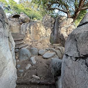 Kopje Mixed-species Exhibit - Africa Rocks