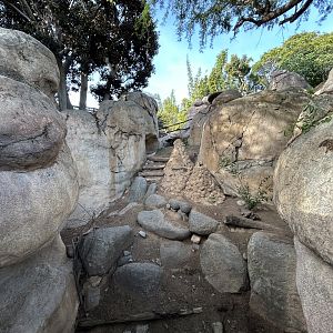 Kopje Mixed-species Exhibit - Africa Rocks