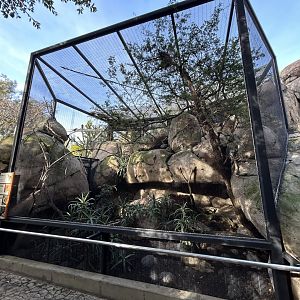 Kopje Aviary - Africa Rocks