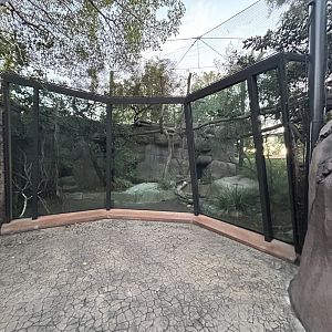 Serval Exhibit - Africa Rocks