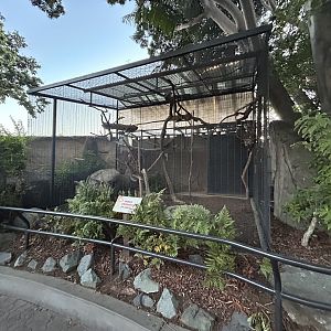 Empty Exhibit (Former Yellow-spotted Rock Hyrax) - Africa Rocks