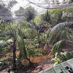 Marsh Aviary(Tiger River)