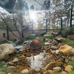 Hattiesburg Zoo - Golden Eagle exhibit at entrance
