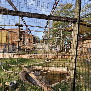 Hattiesburg Zoo - Monkey exhibit