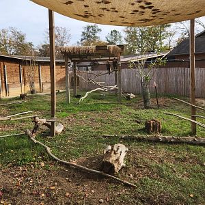 Hattiesburg Zoo - Porcupine/Ground Hornbill enclosure