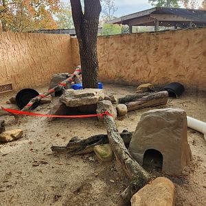 Hattiesburg Zoo - Fennec Fox enclosure
