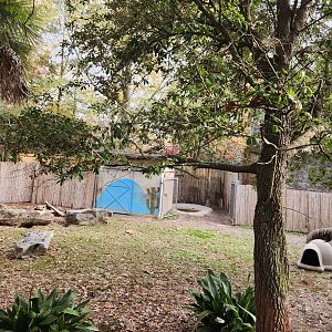 Hattiesburg Zoo - Giant Anteater enclosure