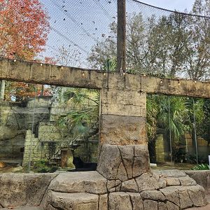 Hattiesburg Zoo - Jaguar exhibit