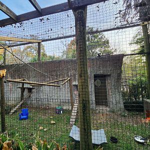 Hattiesburg Zoo - Spider monkey & Lemurs exhibit