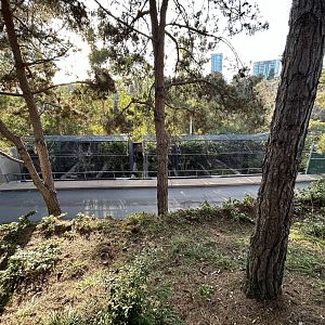 Off-exhibit Aviaries