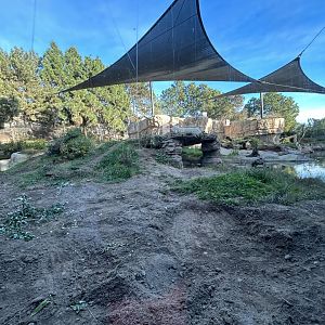 Polar Bear Exhibit - Polar Plunge