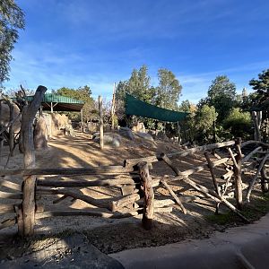 Grevy’s Zebra & Common Eland Exhibit