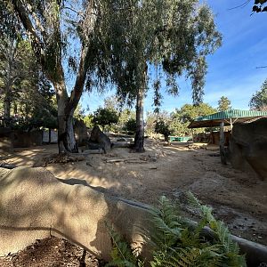Lesser Kudu & Speke’s Gazelle Exhibit