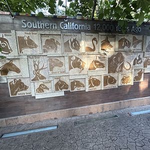 Extinct Species Display - Elephant Odyssey